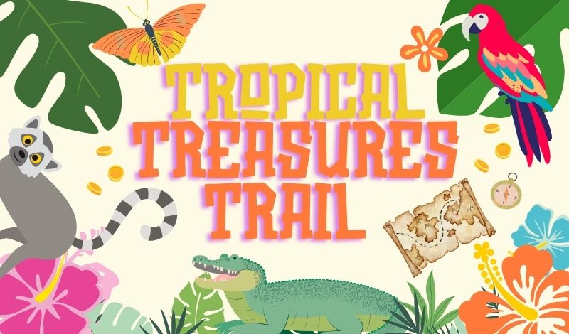 Tropical Treasures article image